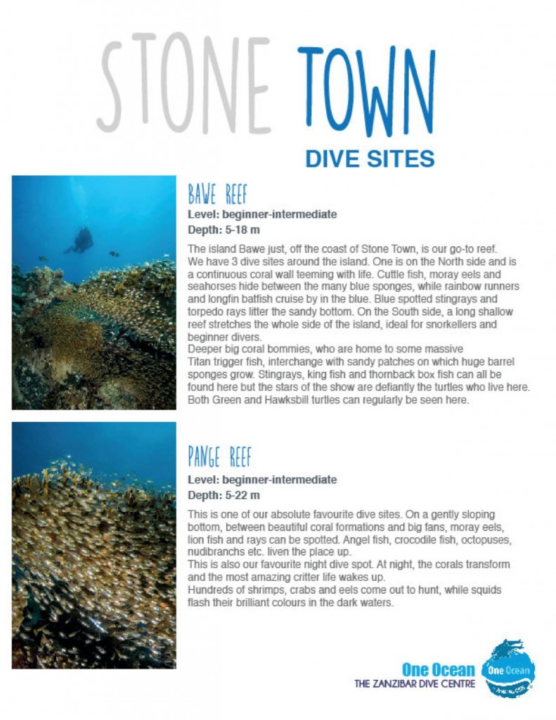 Image Courtesy of One Ocean Dive Centre, Zanzibar