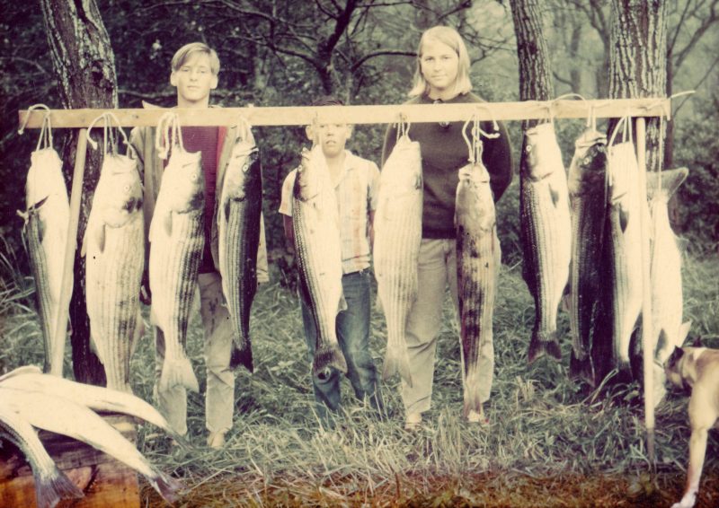 This picture was taken after a successful fishing trip for a striped bass! The picture was taken on a misty summer morning in our locust woods. Pictured, from left to right: George 'Kit' Thorlin, Paul Stevens, Jane Thorlin Fields, and Elfie the dog. Location: Nauset Road. Contributor: Joanna Stevens.