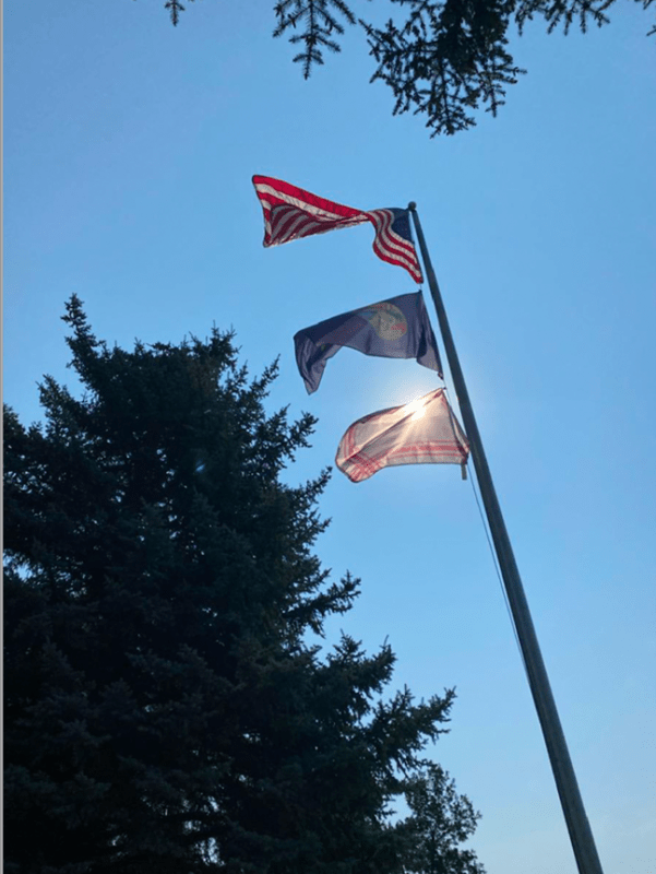Three flags fly on a flagpole with trees and blue sky in the background