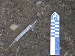 Glass syringe in situ at the Cole's Hill site.