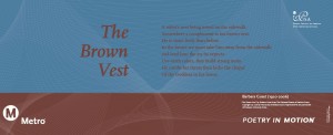 the_brown_vest