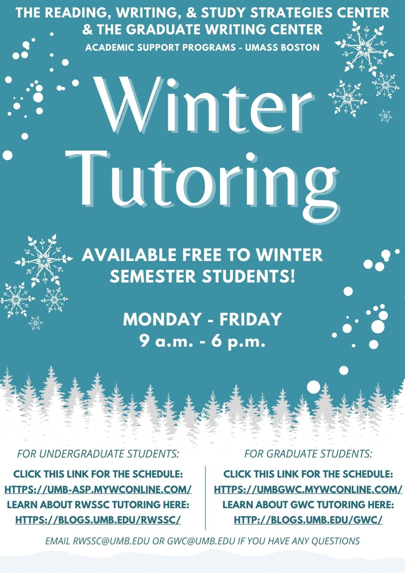 Winter tutoring flyer