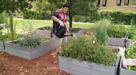 Project Reach: Gardening Club