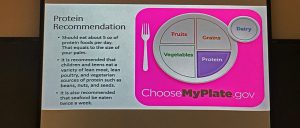 On the right side of the slide shows a plate split up into four sections: 1. Fruits, 2. Vegetables, 3. Grains and 4. Proteins and a cup for diary. Next to the plate, on the left there is a section that says "Protein Recommendation. First bullet point says "Should eat about 5 oz of protein foods per day. That equals to the size of your palm. The second bullet point says "It is recommended that children and teens eat a variety of lean meat, lean poultry, and vegetarian sources of protein such as beans, nuts, and seeds. The third and last bullet point says "It is also recommended that seafood should be eaten twice a week.